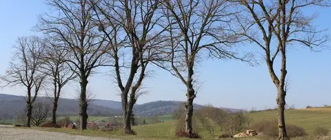 Wohnmobilstellplatz Fredelsloh Am Hainberg