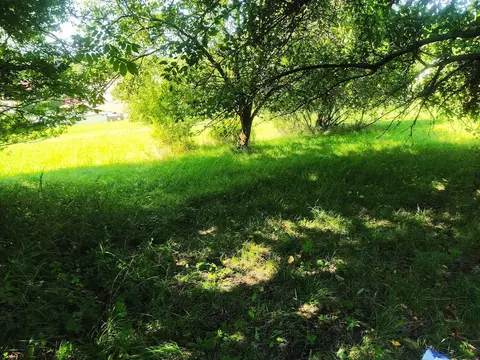 naturnaher Übernachtungsplatz Geopfad Pinsenberg Krölpa