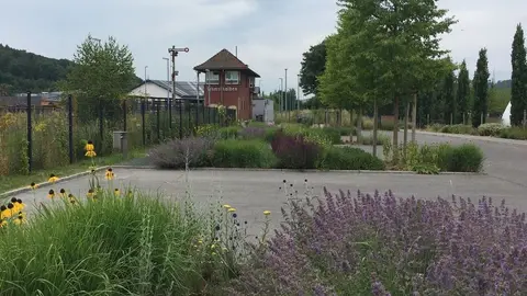 Stellplatz Am Westendpark