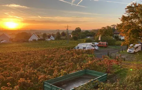 Weingut Benß