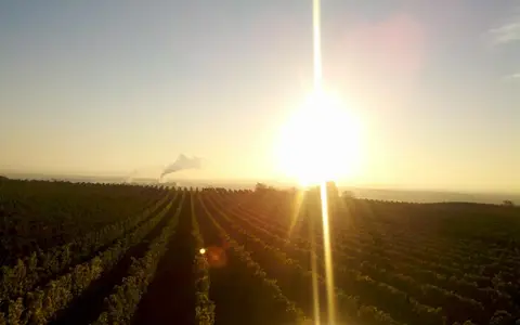Weingut Benß
