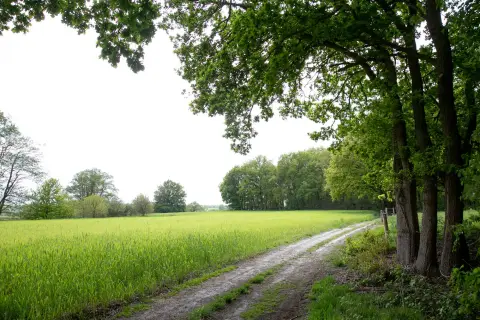 Camperplaats Allee