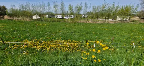 Camperplaats Zwolsedijk