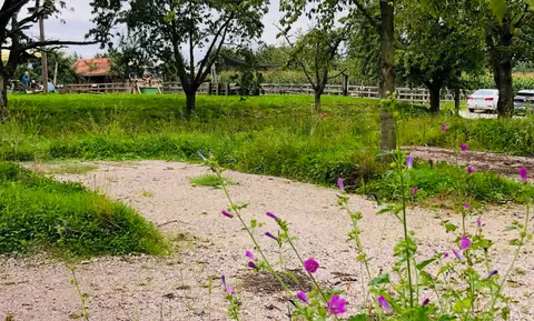 Hofcamping Webers Hofglück