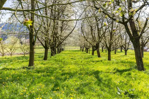 Hofcamping Webers Hofglück
