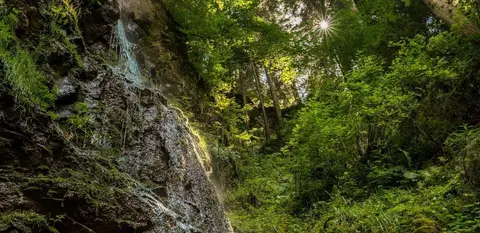 Am Waldbad Löffingen
