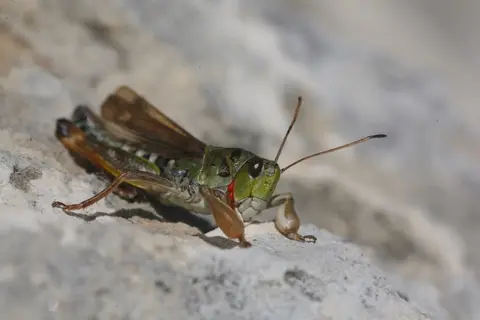 Centro Pro Natura Lucomagno