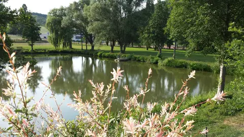 Campingclub Buchenknopf