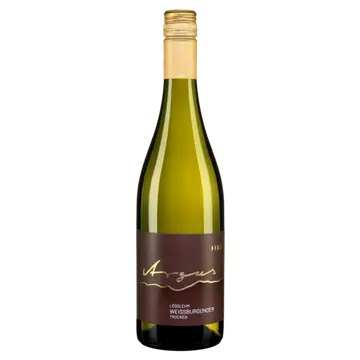 Wohnmobilstellplatz Weingut Argus