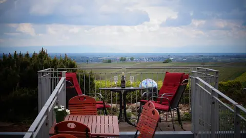 Wohnmobilstellplatz Weingut Argus