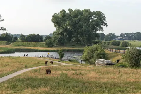 Natuur Camping De Zwiese