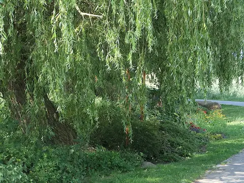 WasserWanderRastplatz Kunstgarten Pasewalk