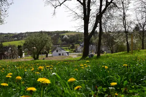 Zöld Zóna Lispe Camping