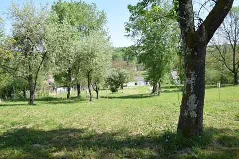 Zöld Zóna Lispe Camping