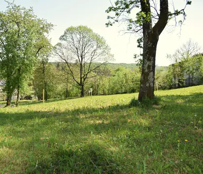 Zöld Zóna Lispe Camping