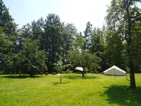 Kamp Hribar