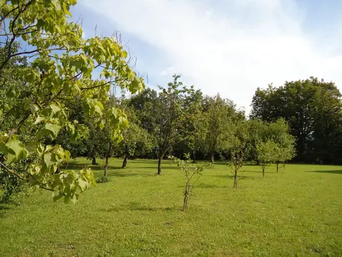 Kamp Hribar