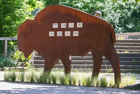 VIP Stellplatz Wildpark Pforzheim