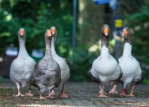 VIP Stellplatz Wildpark Pforzheim