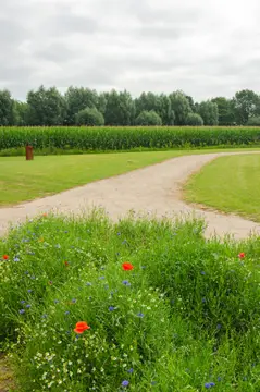 De Vlinder