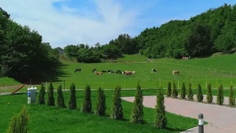 Agricampeggio da Bery
