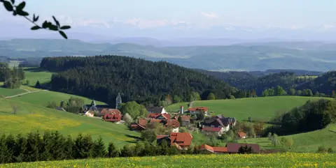 Jugendzeltplatz Wilfingen