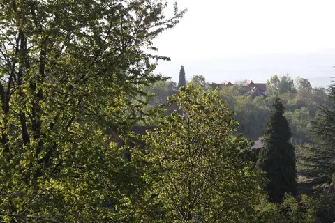 Stellplatz Greisdorf