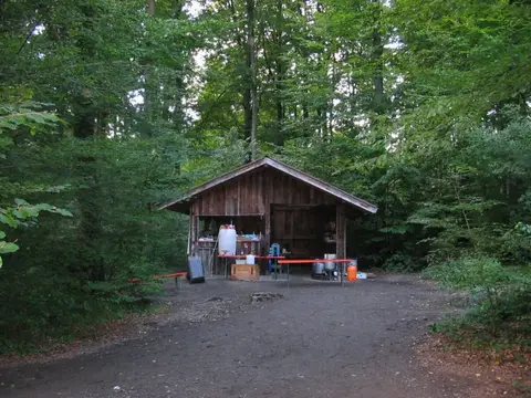 Waldjugendzeltplatz Lohrbacher Forst