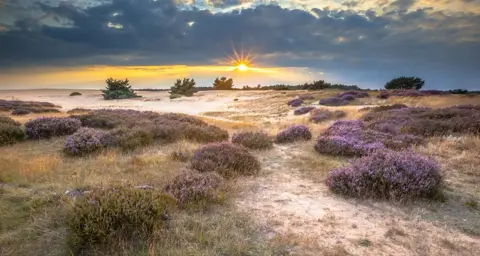 Camping De Veluwe