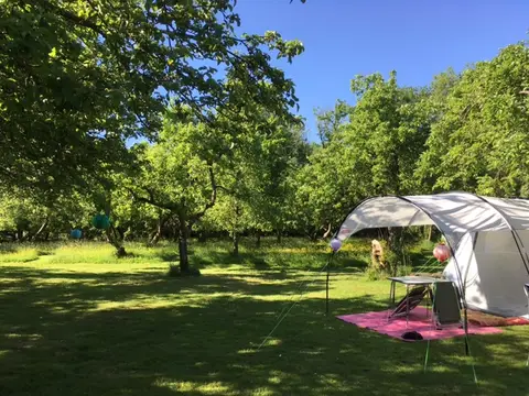 In de Boomgaard