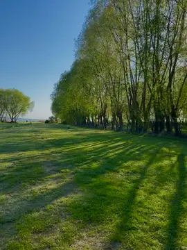 Biwak Miedwie Pod Wierzbą