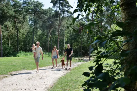 Krieghuusbelten