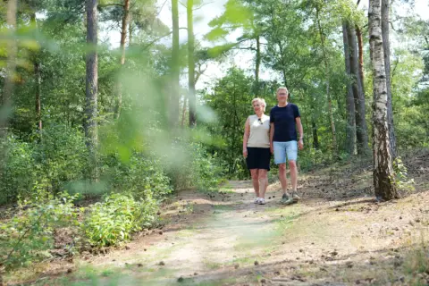 Krieghuusbelten