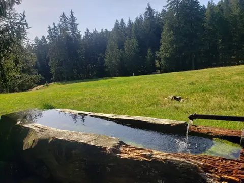 La Schildmatt