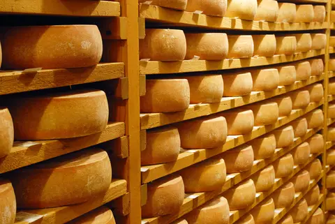 Camping Haute Gruyère
