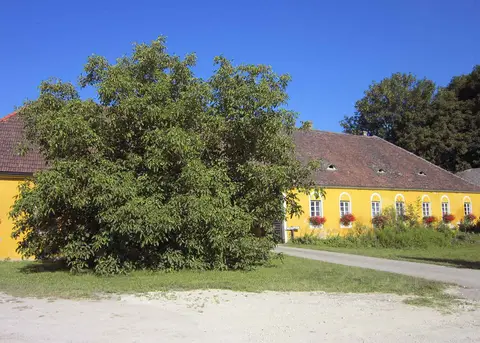 Campingplatz Finsterhof