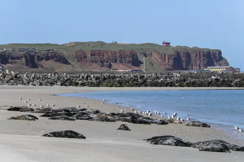 Düne/Helgoland