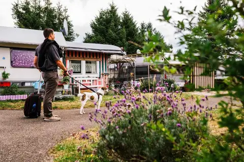 Camping Erbenwald