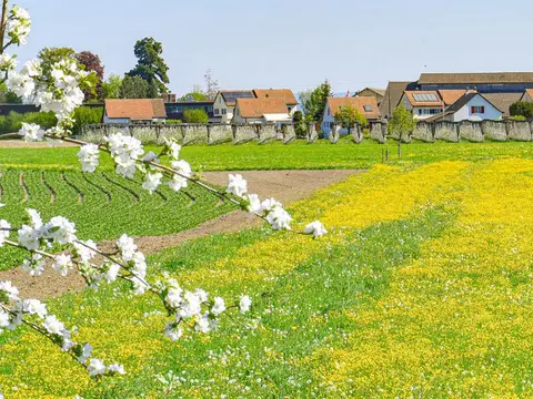 Mobilheim-Park Weidenhof