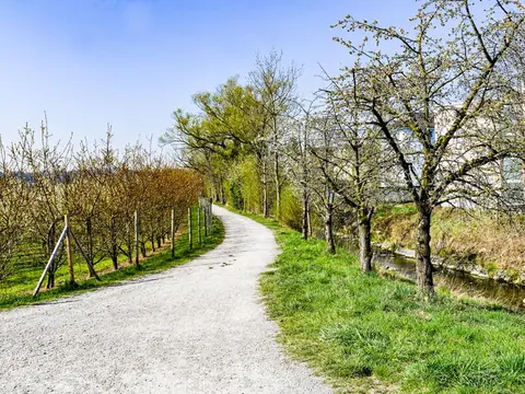 Mobilheim-Park Weidenhof