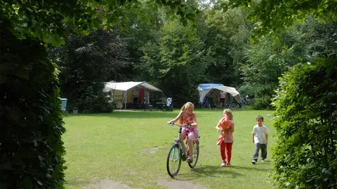 Camping Landgoed Molecaten