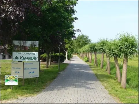 De Knotwilg