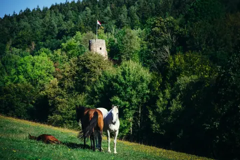 Campingplatz Wallenstein