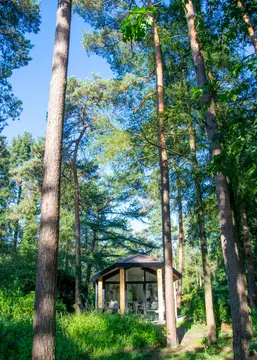 Het Lorkenbos