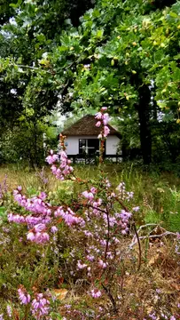 Het Lorkenbos
