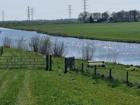 De Plakken