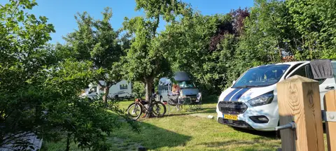 De Plakken