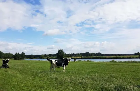 Kemminckhorst