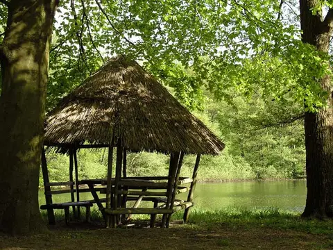 Island Camp