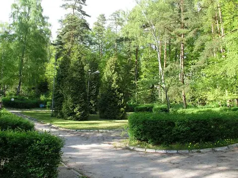 Island Camp